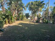 Top Durban