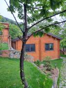 Top Magliolo Top Magliolo