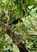 Apartment 3 at Casa Danni