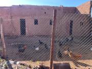 Top Oulad el Guern