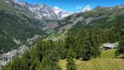 Top Valtournenche