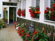 Top Desná Top Desná