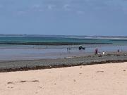 Top Donville-les-Bains