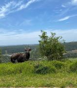 Top Port Alfred Top Port Alfred