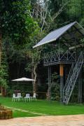 Top Wayanad
