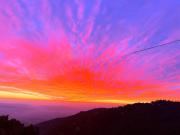 Top Dharamshala