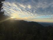 Top Dharamshala