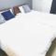 Mutsumi Shinimamiya 501 むつみ庵新今宮 501