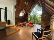 The Forests Last Stand - Galle