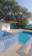 Top Alibaug