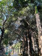 2 BHK Next to the Beautiful Park - 401