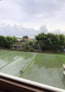 Top Canggu