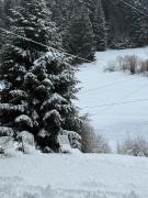 Top Bad Rippoldsau-Schapbach