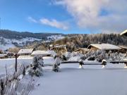 Le Chalet 138 Megève séjour pour 8 confort espace charme calme