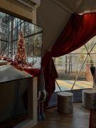 Top Kamieńczyk Top Kamieńczyk