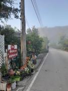 บ้านอังกาบ Aungkab homestay