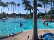 Top Fort Myers