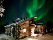 Auroras by Kaltios, Kaltionkuusi