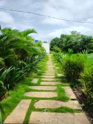 Top Alibaug