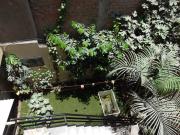 Comfortable stay in Los Olivos