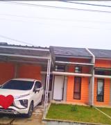 Top Bubulak 3