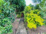 Yala Green Eco Lodge