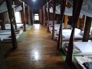 PuBinSpiceHills Perilla