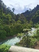 Top Bukit Lawang