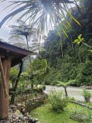 Top Bukit Lawang
