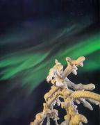 Villa Tonttula Saariselkä