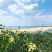 Top Portbail Top Portbail