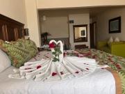 Hotel San Carlos Tequisquiapan