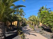 Top Corralejo
