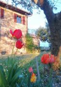 Top Greve in Chianti