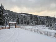 Top Obarsia-Lotrului