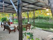 Top Ladyville Top Ladyville