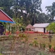 Top Bhagaura