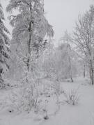 Top Tidaholm