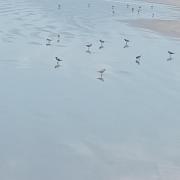 CANTO DO PARAÍSO Praia RUÍNAS CANTO DO PARAÍSO Praia RUÍNAS