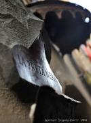 Top Giuliano di Roma