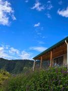Bosque Tapantí, cerca del PN Tapantí en Orosí, Cartago, Costa Rica
