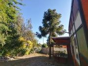 Top Licán Ray Top Licán Ray