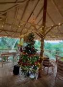 Top Amphoe Koh Samui Top Amphoe Koh Samui