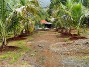 Aanandee Villa