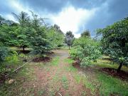 Top Pune