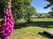 Top Cwrt-newydd