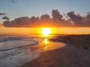 Top Merville-Franceville-Plage