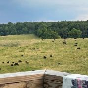 Top Burkesville