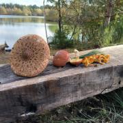 Top Vignoux-sur-Barangeon