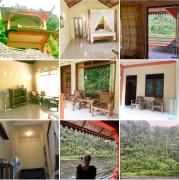 Ridhos Homestay & Jungle Trekking